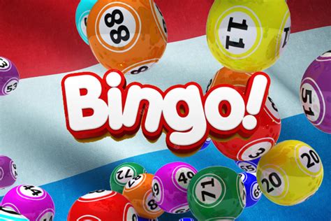 bingo online app Beste legale Online Casinos in der Schweiz